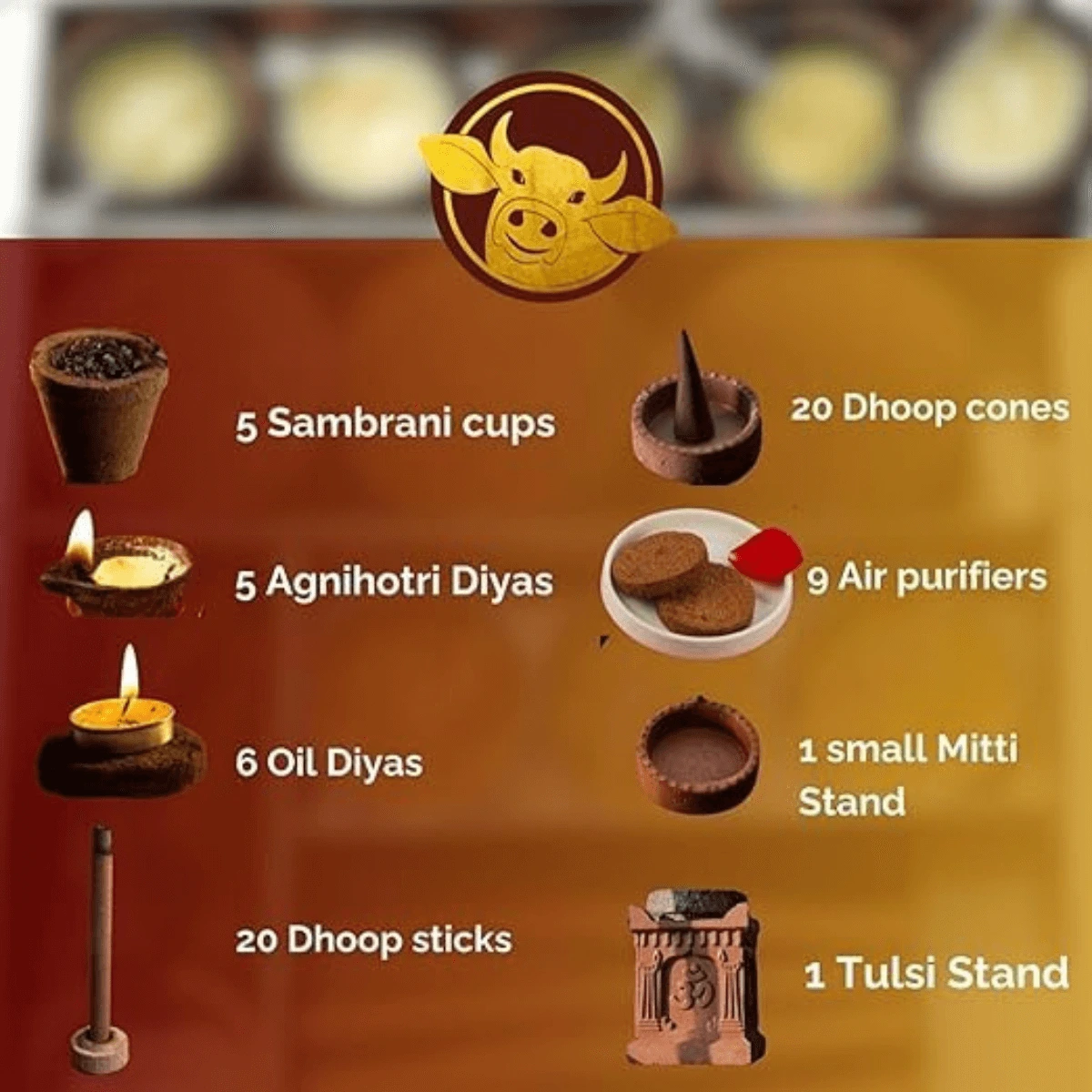 pooja and wellbeing home kit